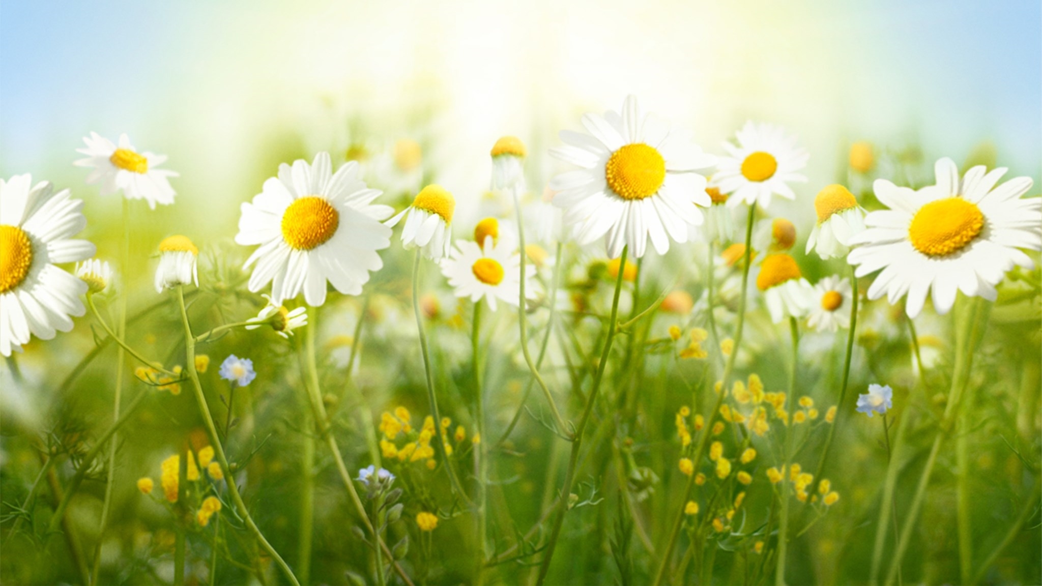 Prediksi sydney 14 juni 2021 pangkalantoto